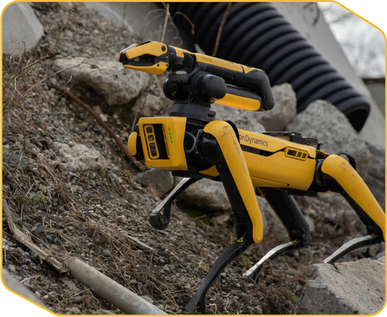 Di chuyển linh hoạt