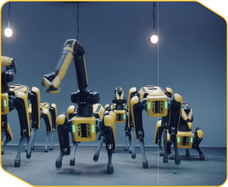 Tương tác thú vị